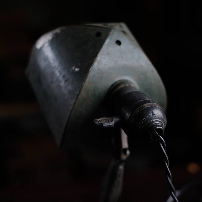 Developing stand light