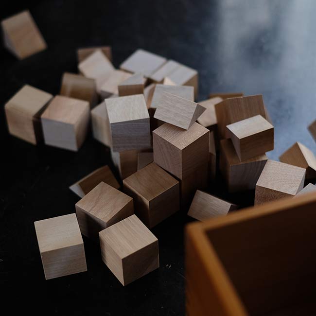 Froebel-kan Wooden Blocks