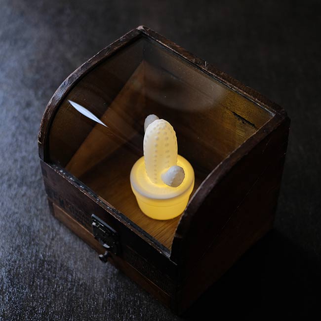 時計の修理用工具の収納箱