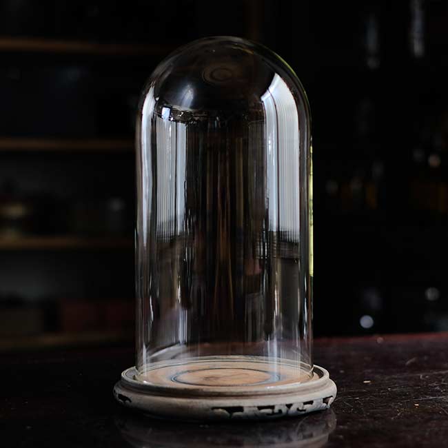 Glass dome