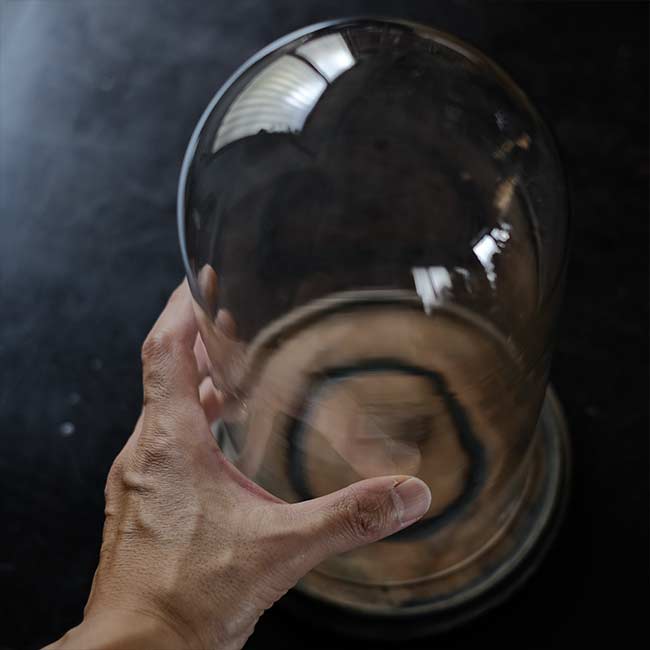 Glass dome