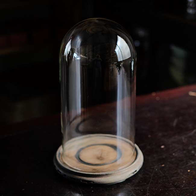 Glass dome