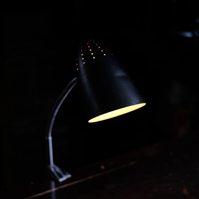 Gooseneck Lamp with Clamp