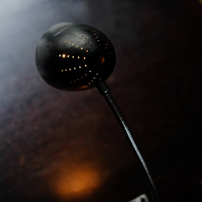 Gooseneck Lamp with Clamp