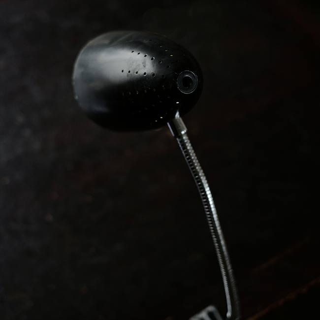Gooseneck Lamp with Clamp