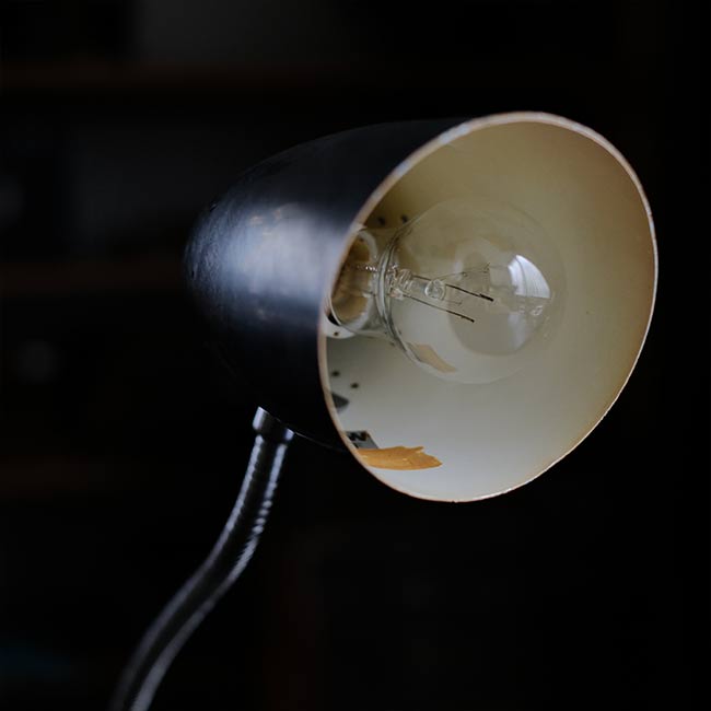 Gooseneck Lamp with Clamp
