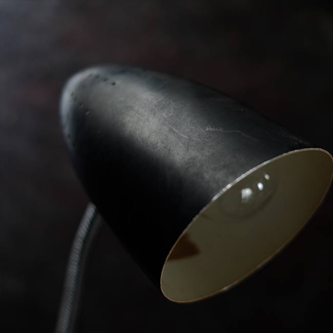 Gooseneck Lamp with Clamp