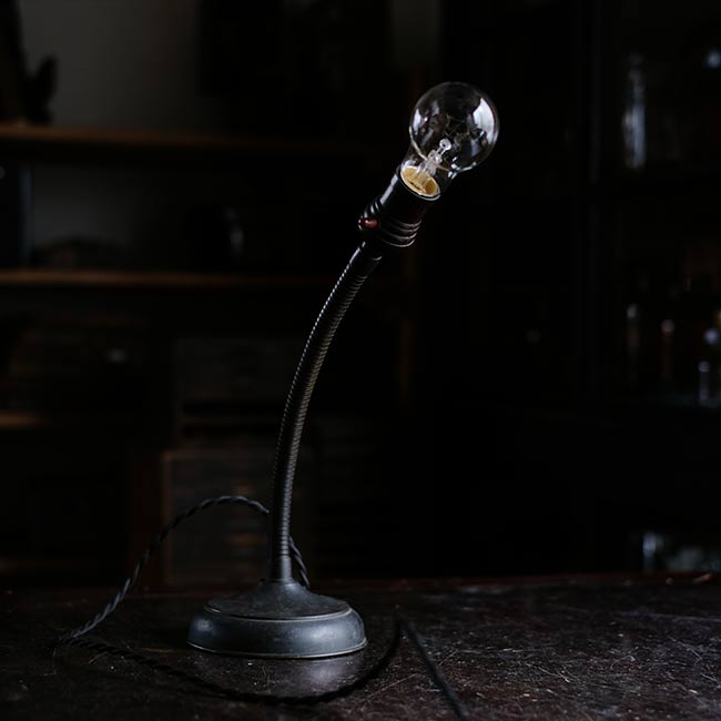 gooseneck desk lamp