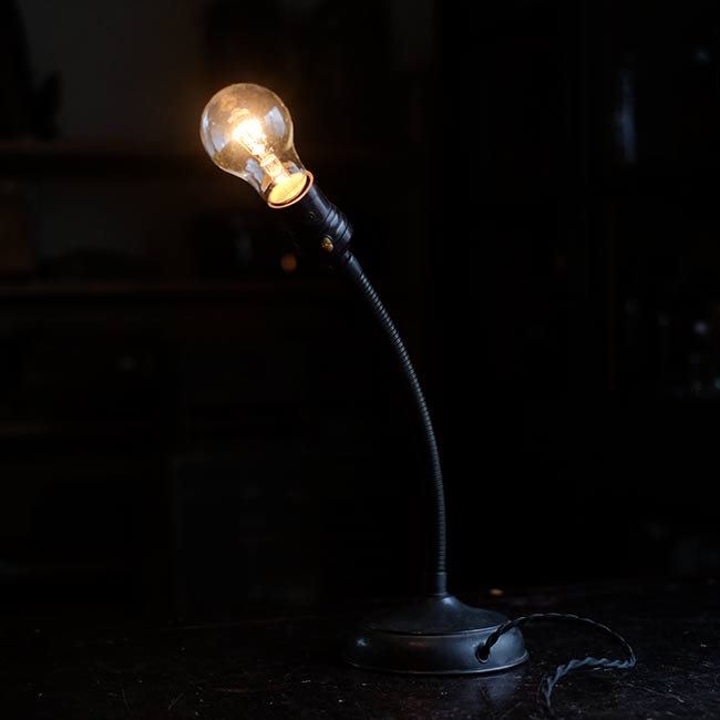 gooseneck desk lamp