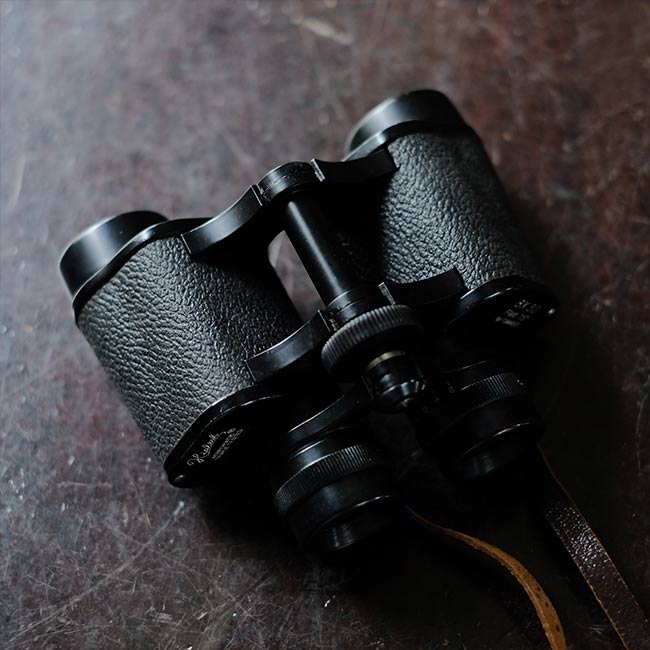 HIALEAH Binoculars 8x30