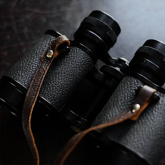 HIALEAH Binoculars 8x30