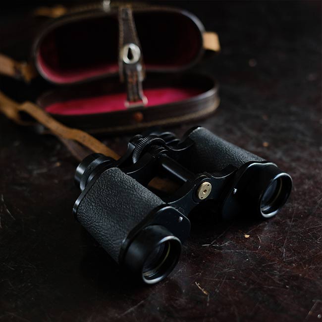 HIALEAH Binoculars 8x30