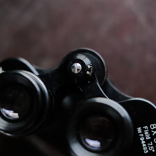 HIALEAH Binoculars 8x30