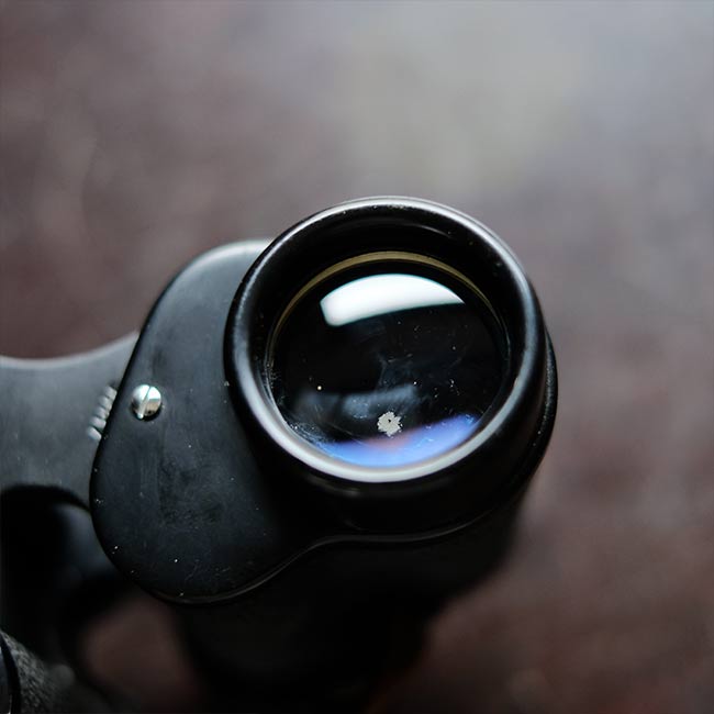 HIALEAH Binoculars 8x30