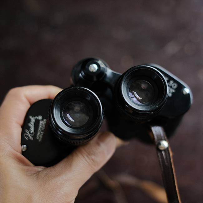 HIALEAH Binoculars 8x30