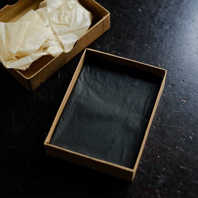 ILFORD SPECIAL RAPID PLATES Glass dry plates