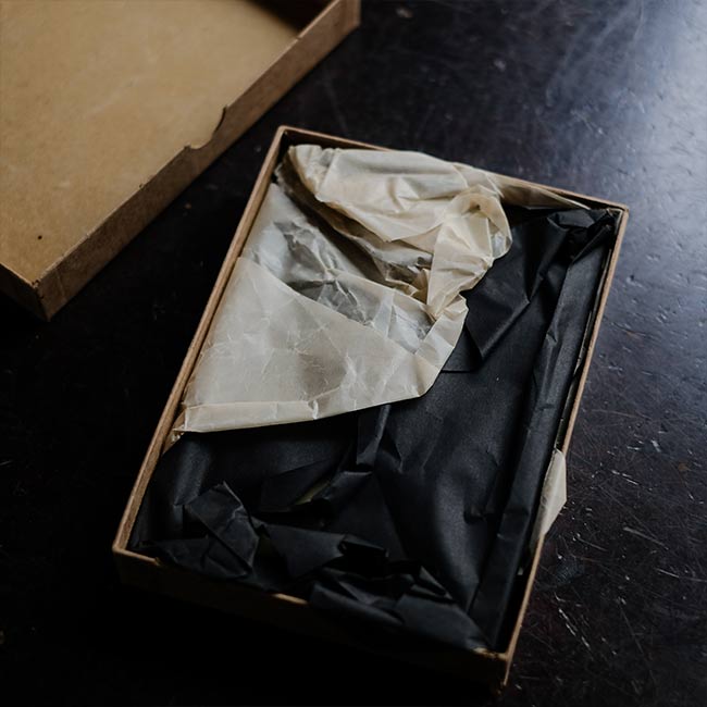 ILFORD SPECIAL RAPID PLATES Glass dry plates