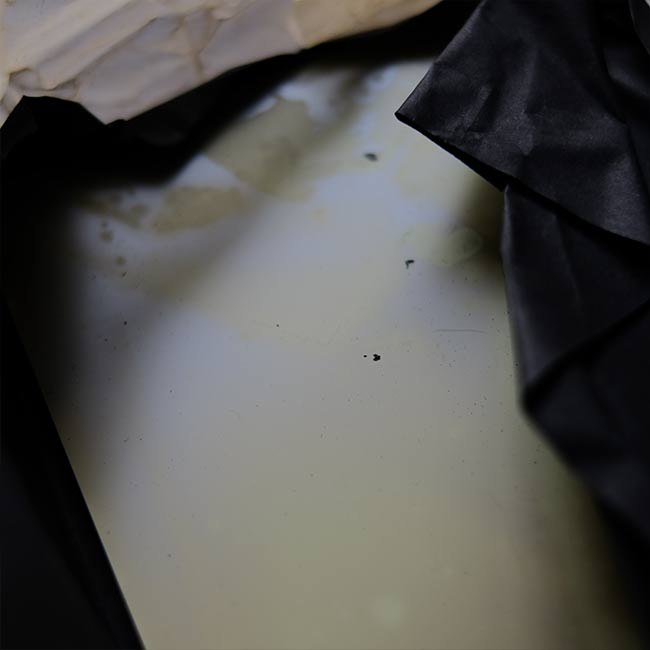 ILFORD SPECIAL RAPID PLATES Glass dry plates