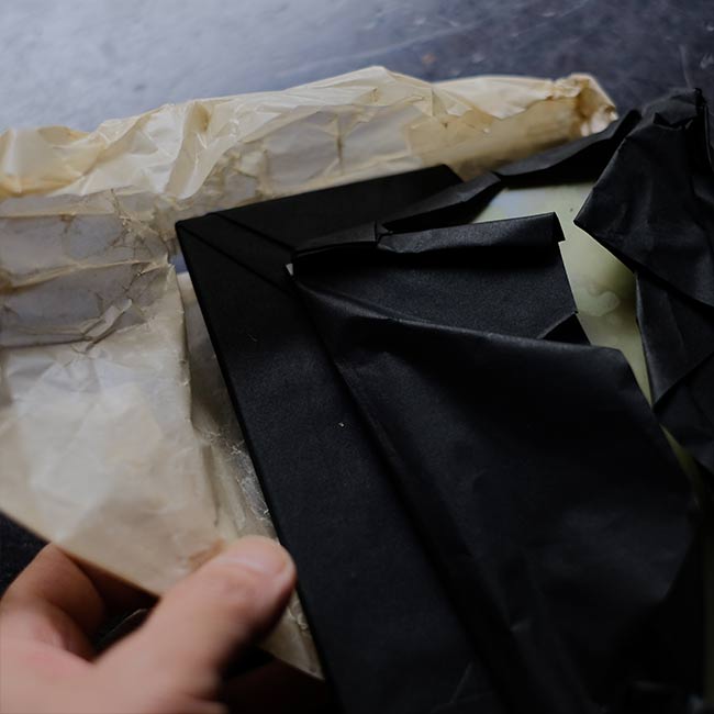 ILFORD SPECIAL RAPID PLATES Glass dry plates