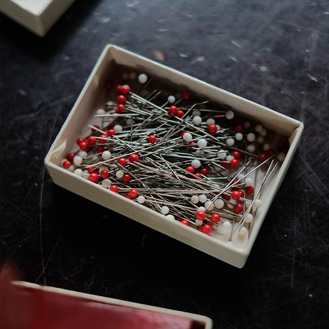 Insect Pins 昆虫針