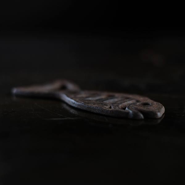 Fish bottle opener