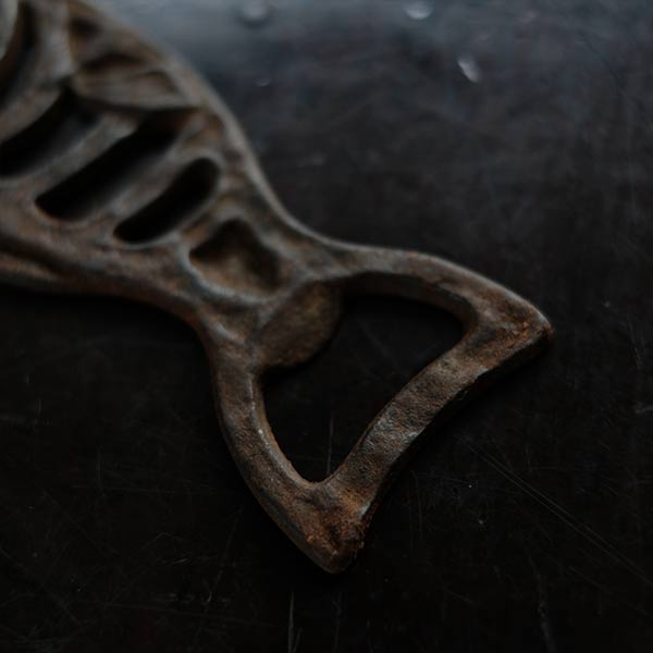 Fish bottle opener