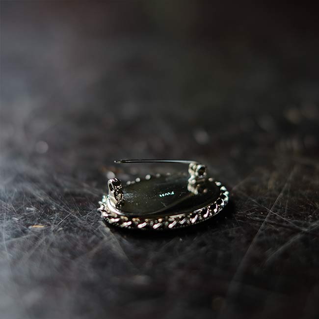 Glass-embellished brooch