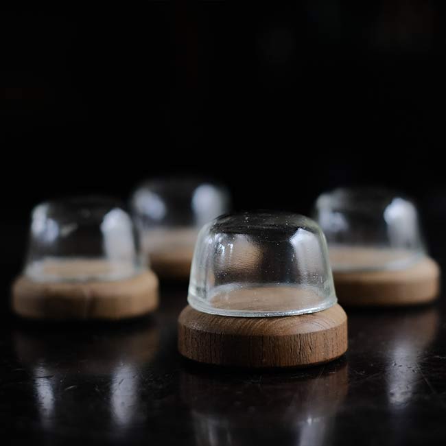 小さなガラスドーム