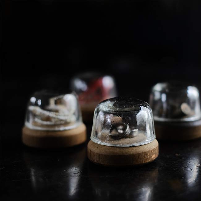 小さなガラスドーム