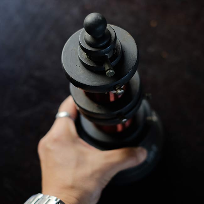 Dual coil
