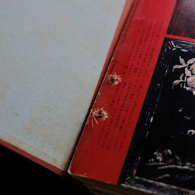 家庭全科 1961~1962年 11冊セット