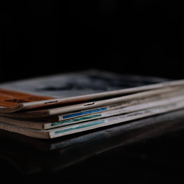 DER LANDSER 5-book set