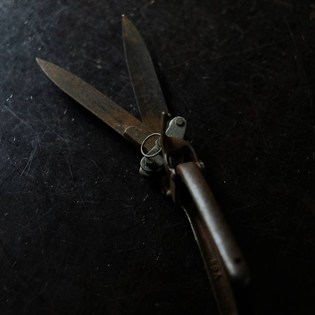 Lawn mowing scissors