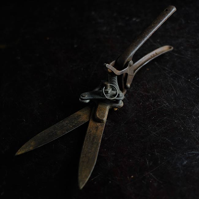 Lawn mowing scissors