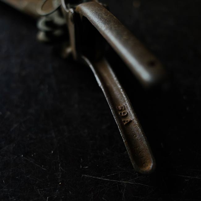 Lawn mowing scissors