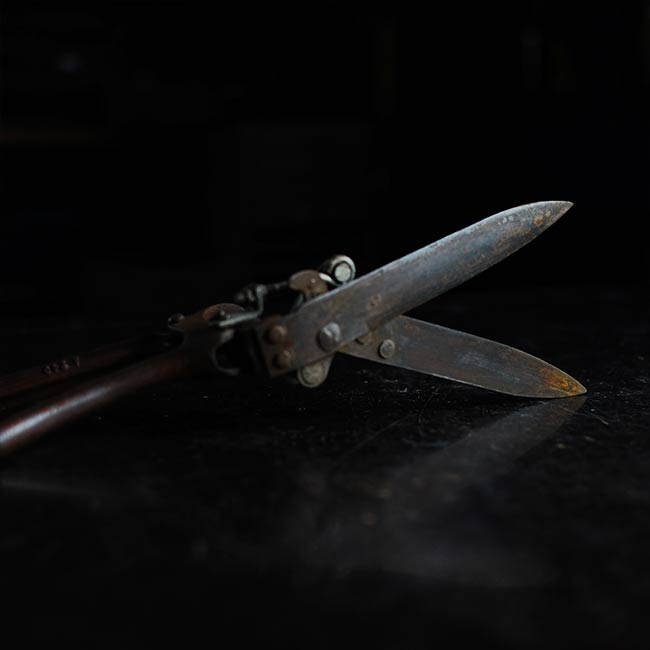 Lawn mowing scissors