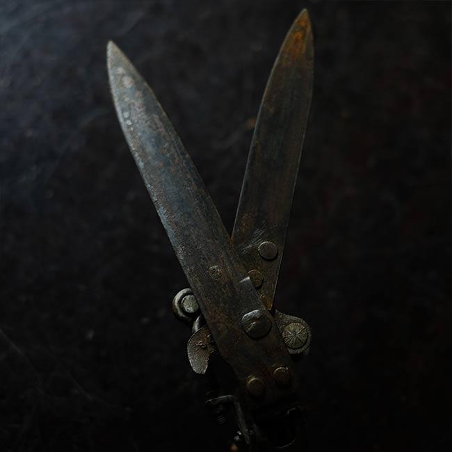Lawn mowing scissors