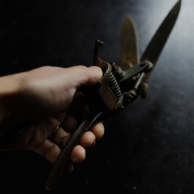 Lawn mowing scissors