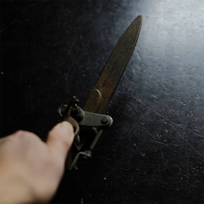 Lawn mowing scissors