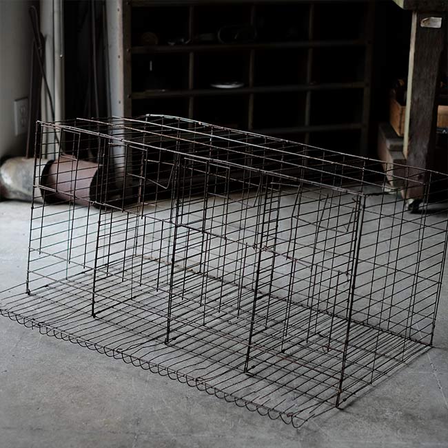 ニワトリのケージ(鶏舎)