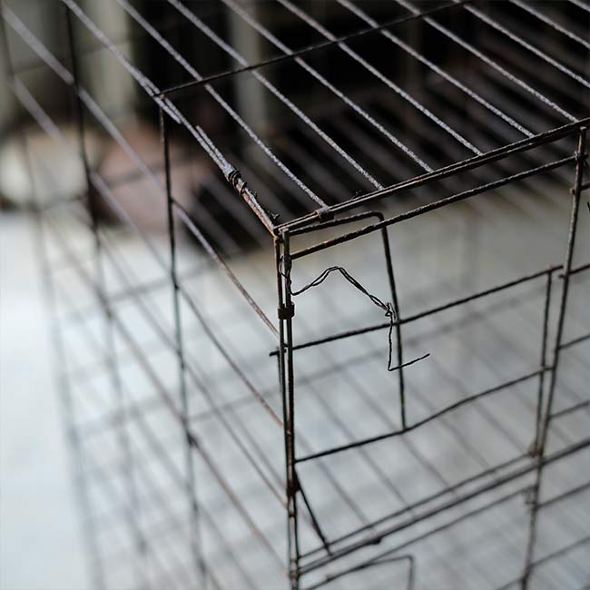 ニワトリのケージ(鶏舎)