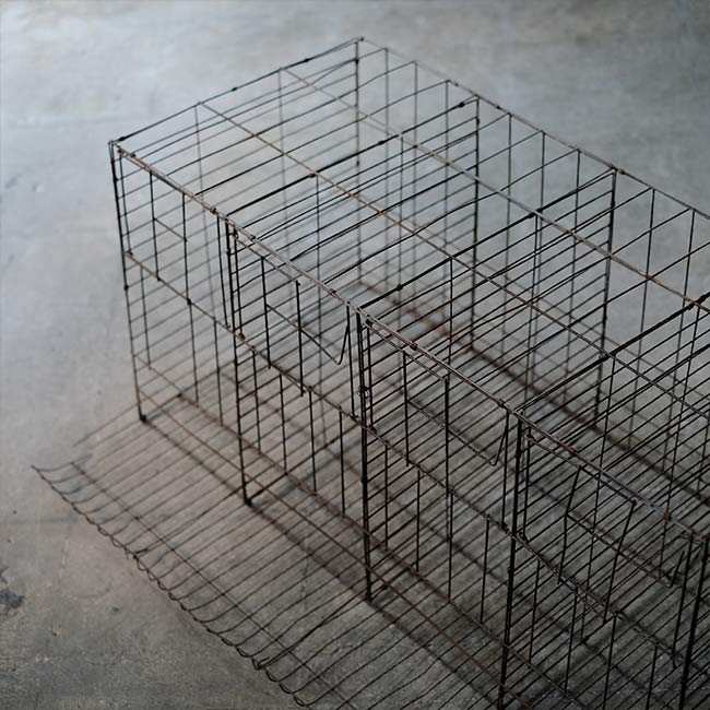 ニワトリのケージ(鶏舎)