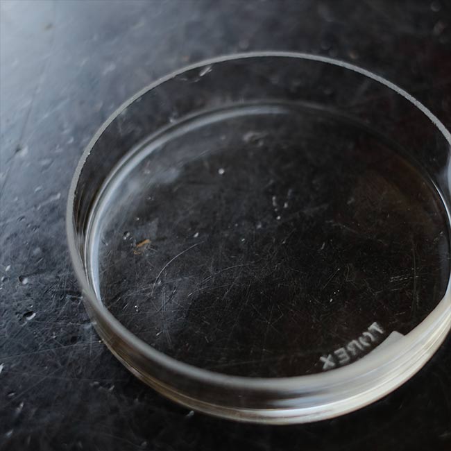Glass canister