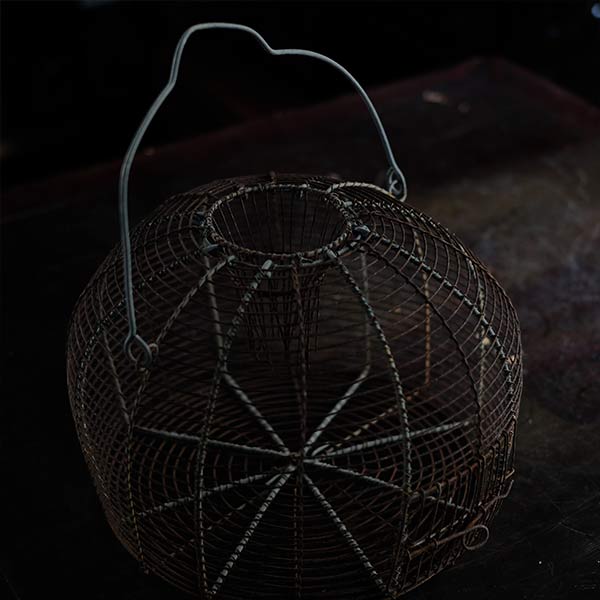 Mousetrap cage