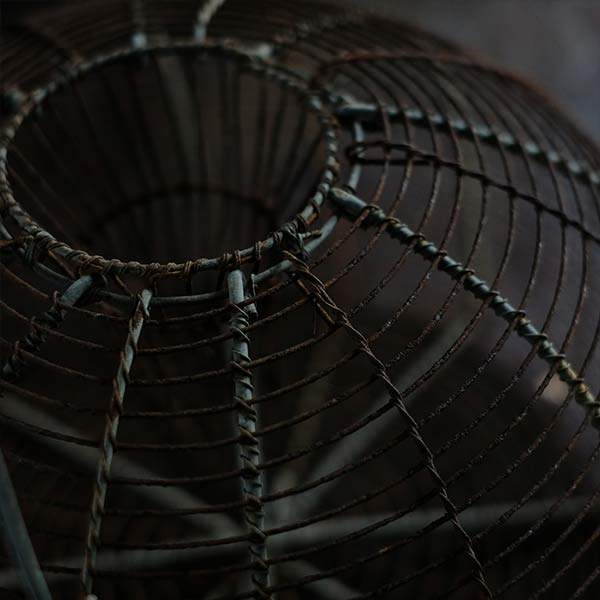 Mousetrap cage