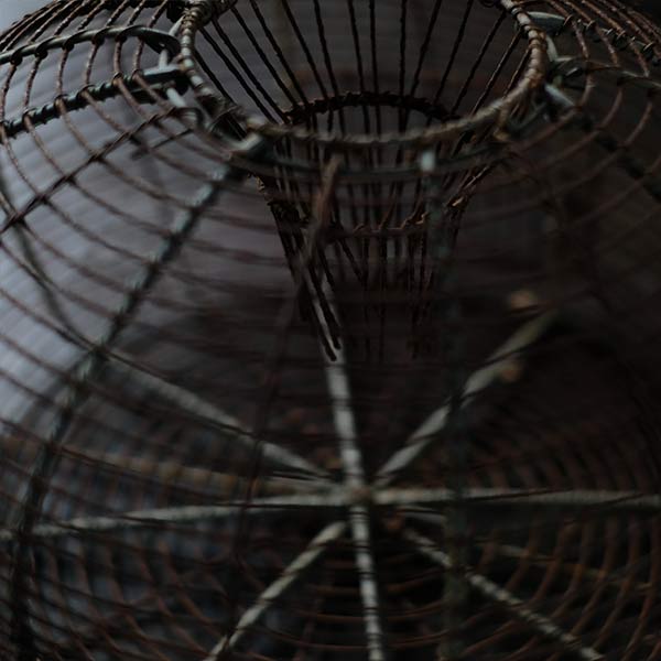 Mousetrap cage