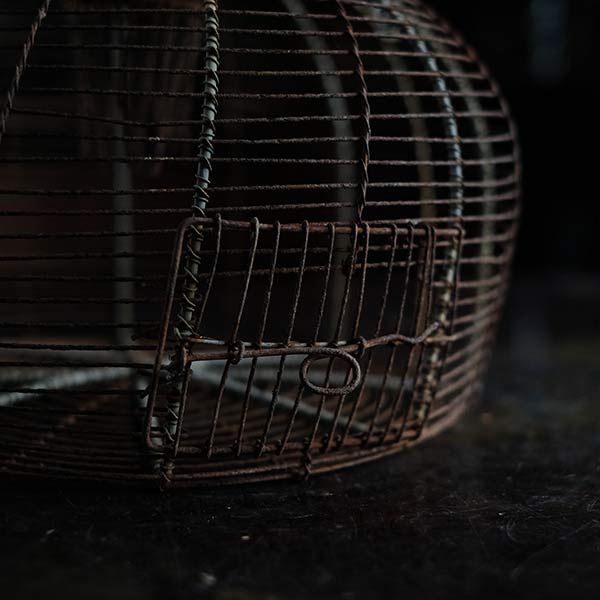 Mousetrap cage