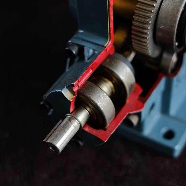 NISSEI gear motor model