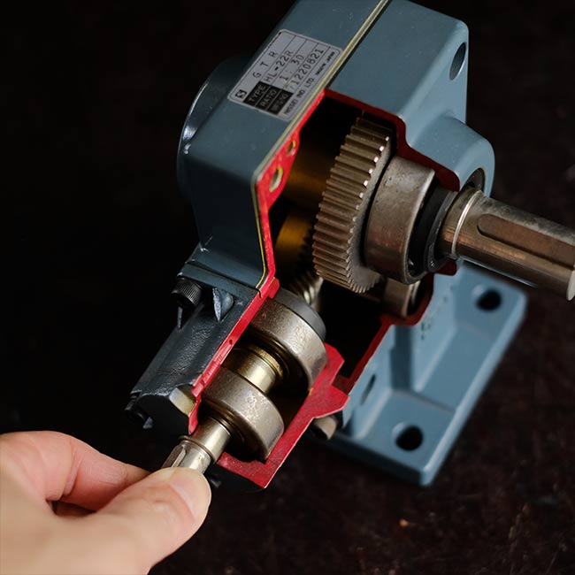 NISSEI gear motor model