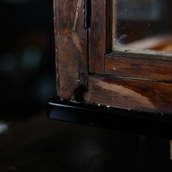 A showcase using a scale case
